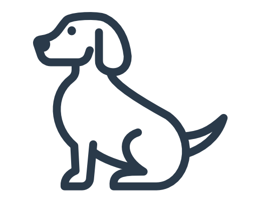 Pet Insurance